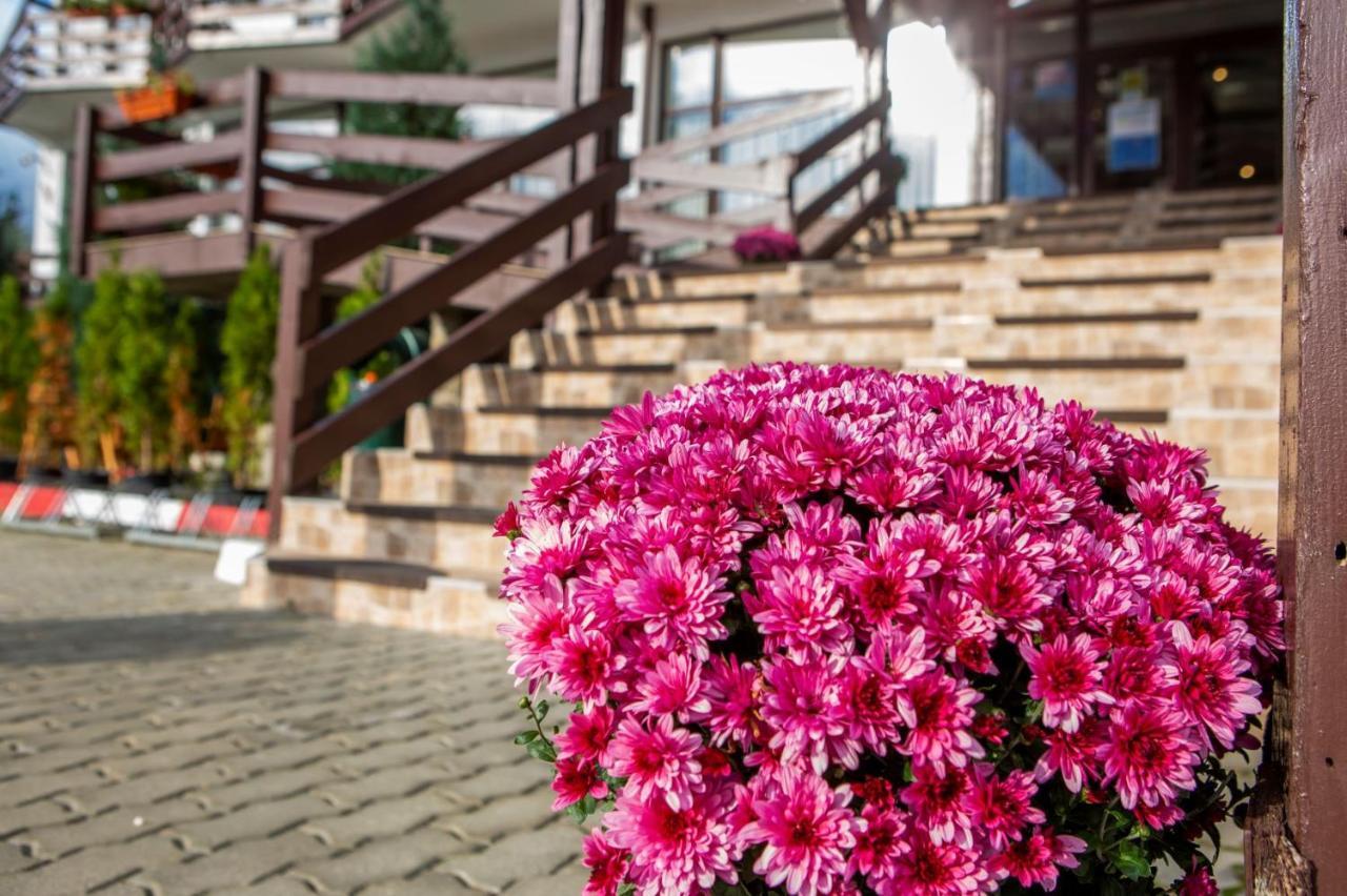 Hotel La Dolce Vita Zărneşti Dış mekan fotoğraf